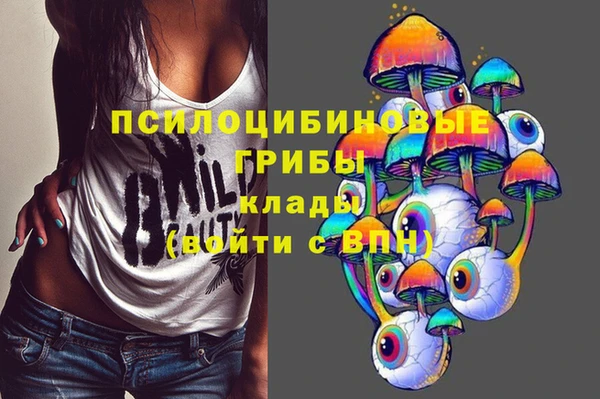 амф Надым