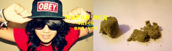 амф Надым
