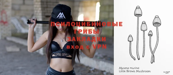 амф Надым