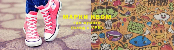 амф Надым